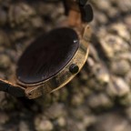 Wooden Watch